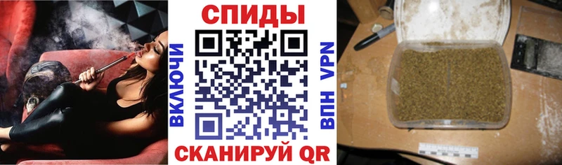 мега как войти  Гаврилов-Ям  БУТИРАТ буратино 