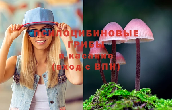хмурый Баксан