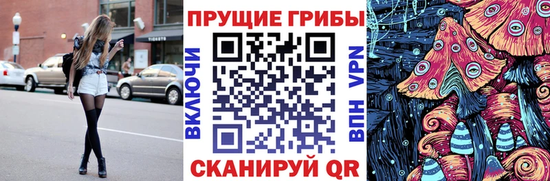 Галлюциногенные грибы Cubensis  Гаврилов-Ям 